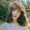 Seovip Content