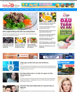 Mẫu website tin tức 01