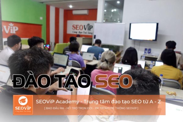 Khóa học SEOViP