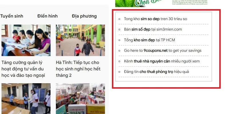Dịch vụ mua bán textlink báo giá là gì