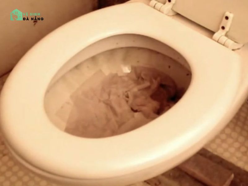 Những thói quen xấu làm rút ngắn tuổi thọ của hầm tự hoại