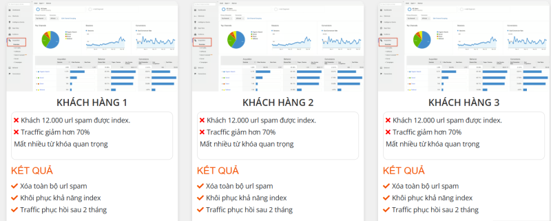 Case Study: Cứu sống website bị de-index nặng